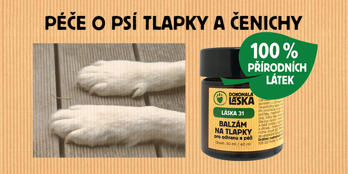 péče o tlapky